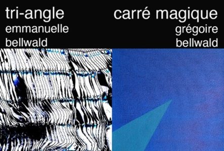 Flyer de l'annonce de l'exposition de photographie et de peinture de deux artistes Emmanuelle Bellwald et Grégoire Bellwald à la galerie Artium au 11 rue de l'Hôtel-de-Ville du 11 au 16 novembre 2025.