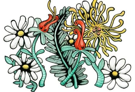 © Solal Faucherre Dessin représentant plusieurs variétés de fleurs