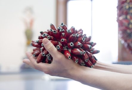 Une oeuvre en céramique rouge représentant une espèce végétale est portée par des mains.