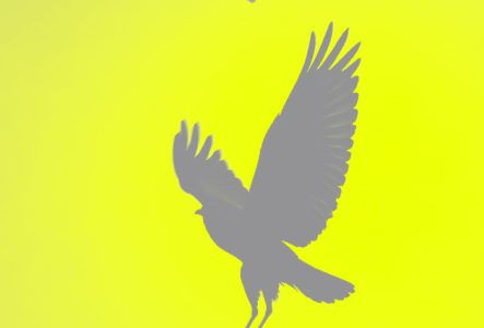 C'est déjà demain. Festival de la jeune création. 21-25 avril 2026