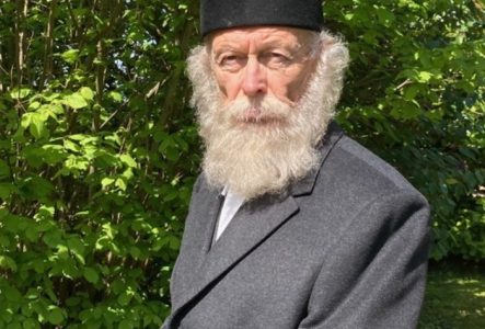 Un vieil homme barbu attentif dans un jardin