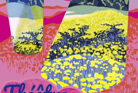 Charlotte Annoni projecteur dans les champs