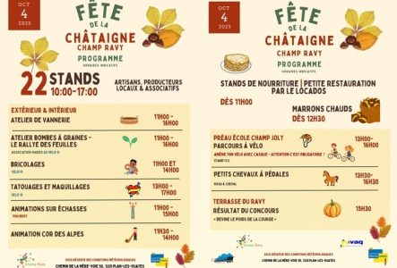 l'affiche illustre et magnifie la Châtaigne et des animations vannerie, bricolages, tatouages, maquillages, animations sur échasses et cor des Alpes