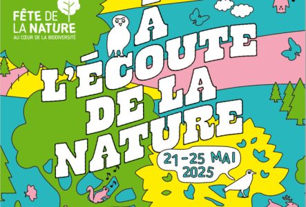 Association de la Fête de la Nature Arbres et animaux colorés