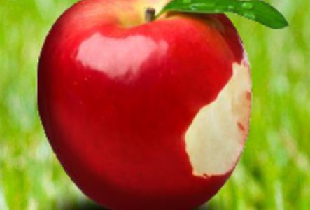 DR pomme croquée sur le côté droit