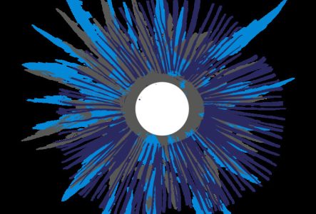 Dessin graphique représentant une fleur noire et bleue sur fond gris.