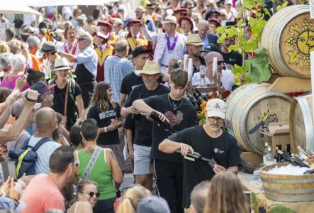 Sur cette image, plusieurs bénévoles sont en train de servir du vin. Ils sont installés à côté de grands tonneaux en bois, Ils versent du vin dans des verres avec attention et convivialité. Autour d’eux, une foule dense de personnes s’est rassemblée. Il s’agit d’un public varié discutant entre eux ou tendant leur verre pour une dégustation. L’ambiance semble animée, chaleureuse et festive.