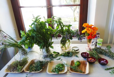 CJBG Présenté sur une table dans des assiettes et vases, un grand choix de plantes comestibles