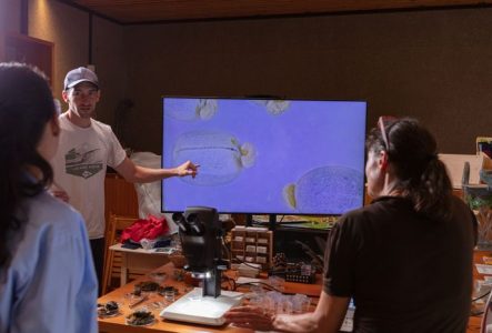 Notre médiateur scientifique montre au microscope une graine d'Euphorbe des garrigues