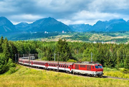 train dans la nature