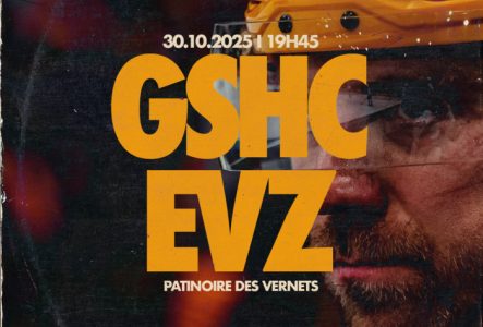 GSHC vs EVZ