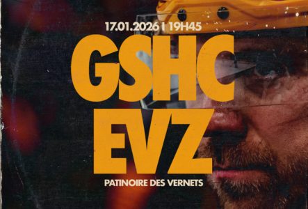 GSHC vs EVZ