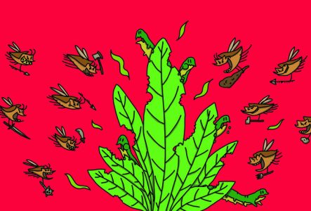 Une illustration en couleur qui représente une plante verte, sur fond rouge, entourée d'insectes qui transportent des outils (machette, massue, hache, .. )