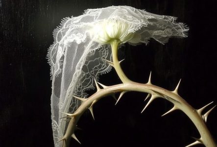 Une fleur avec sa tige pleine d’épines recouverte d’un tissu brodé
