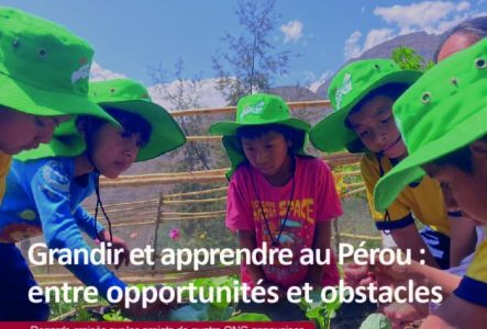 Des potagers bio dans les écoles rurales, un projet soutenu par Ecohumanita.