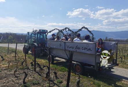 Léman Expériences Balade en char viticole