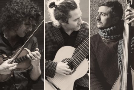 les musicians du concert
