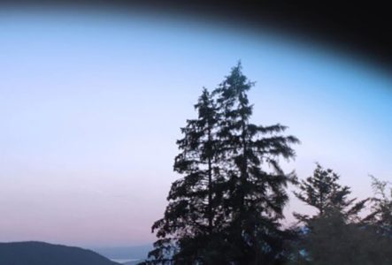 ciel nocturne forêt