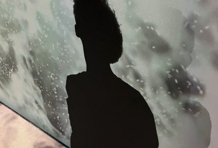 l'ombre d'une figure