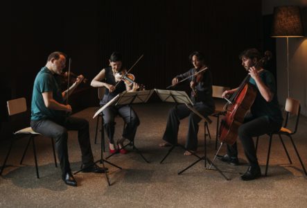 Photo du Quatuor Terpsycordes