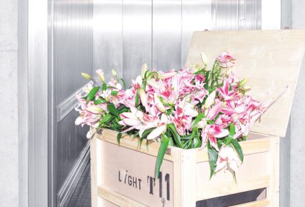 visuel du spectacle Ivanov