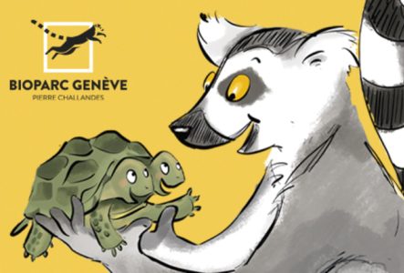 Muséum Genève Illustration de l'événement