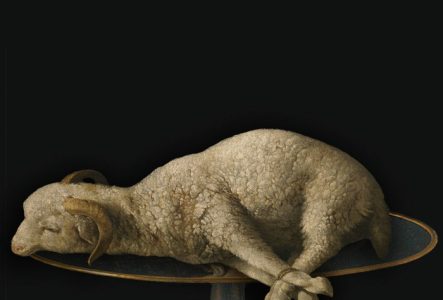 le visage d'une femme