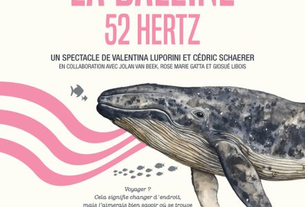Valentina Luporini Une baleine