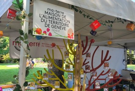 DR Une image en couleur qui représente un arbre en bois avec des branches de couleur.
