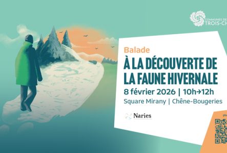 une illustration se trouve sur la gauche mettant en scène une personne qui marche dans un décor hivernal et à droite de l'image se trouve toutes les informations de l'événement