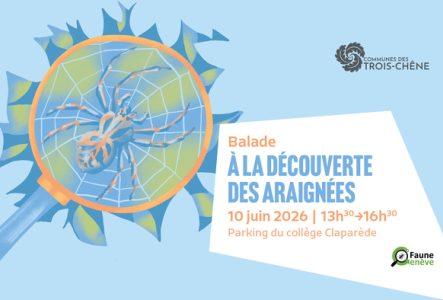Sur fond bleu, se trouve une loupe avec en son centre une araignée