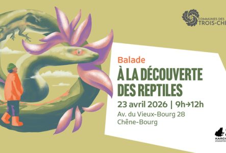 Illustration d'un reptile et d'une personne qui marche avec les informations sur la droite