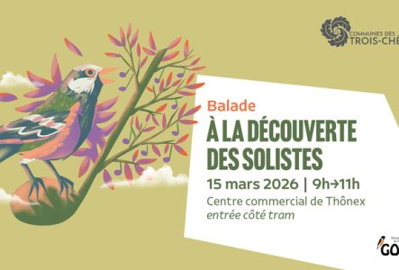 illustration d'un oiseau sur une branche et les informations de la balade sur la droite