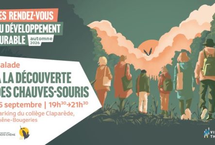Des personnes marchent de dos avec au loin une chauve-souris qui apparaît au-dessus des nuances. Les informaitons de l'événement se trouvent sur la gauche du visuel