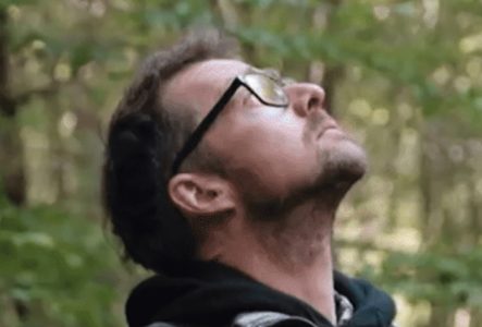 forêt homme dans la nature