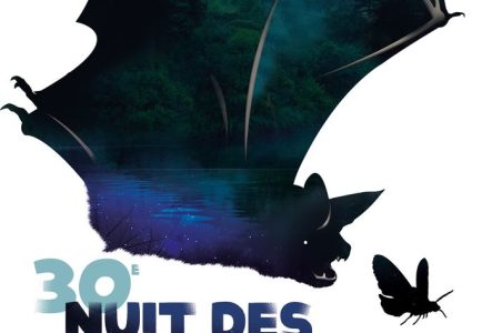 Affiche de chauves-souris