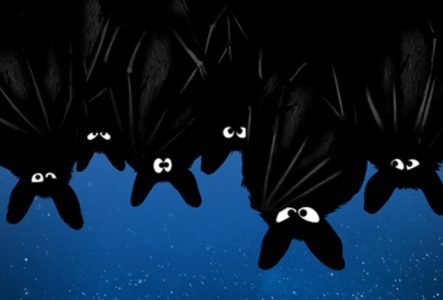 Muséum Genève Un groupe de chauves-souris la tête à l'envers avec un ciel étoilé en arrière plan