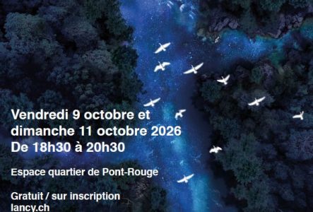 Une rivière vue du ciel de nuit avec des oiseaux.