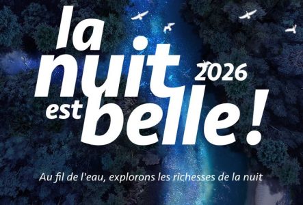 Image vue du ciel d'une rivière avec des oiseaux volant