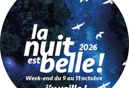sticker de forme ronde avec titre en blanc nuit étoilée arbres et oiseaux blancs