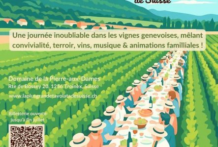 Agence 2Vibes Tavolata dans les vignes genevoises