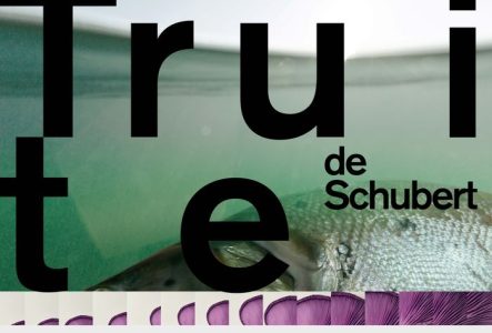 Affiche du concert du dimanche n°3