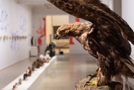 Logo de l'association dragon en origami