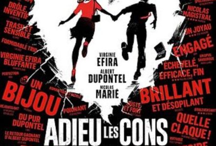 affiche adieu les cons