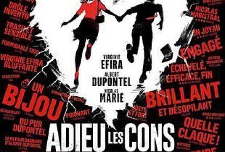 affiche adieu les cons