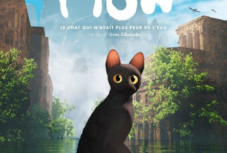 un chat noir