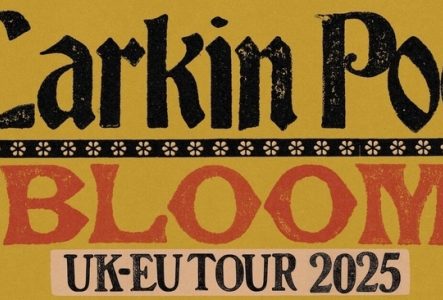 DR Droits réservés