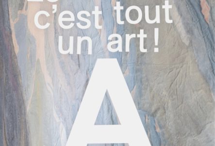 Affiche pour la visite en FLE