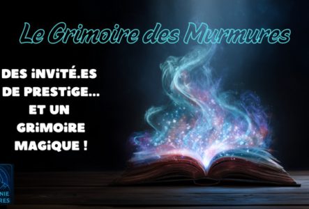 Un mystérieux grimoire magique