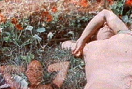 Image du film